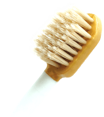 Toothbrush Miswak Series